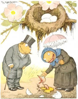 Frühgeburten