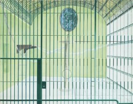 Cage vide