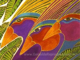 Vögel von der Rainbow Forest