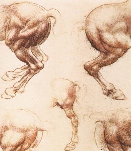 Studie der Pferde