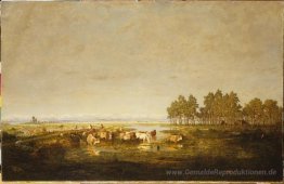 Sumpfland im Les Landes