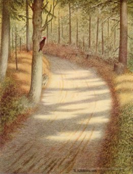 Specht