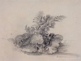 Fern Blätter und Klette