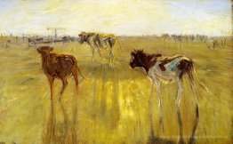 Cattle gegen die Sonne auf der Insel Saltholm gesehen. Eine Farb