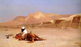 Der Araber und sein Steed