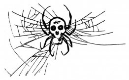 Spinne