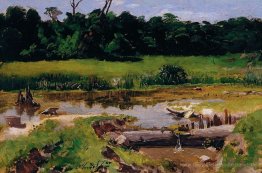Flusslandschaft