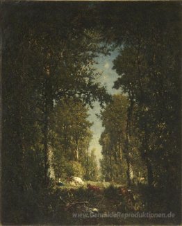 Avenue, Wald Isle Adam