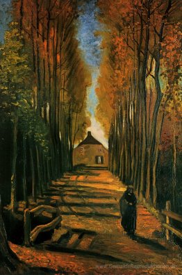 Allee der Pappeln am Sonnenuntergang