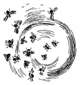 Insekten
