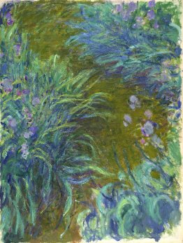 Weg durch die Iris 02
