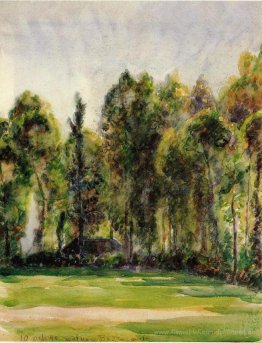 Landschaft