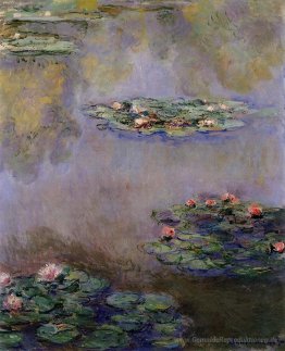Wasserlilien