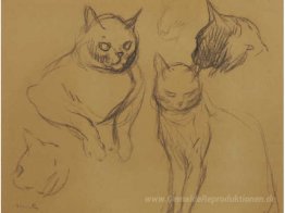 Cat Sketches