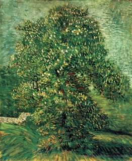 Kastanienbaum in der Blüte