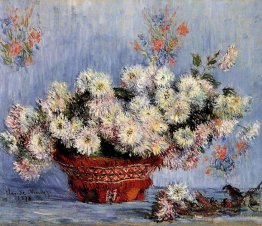 Chrysanthemen