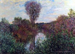 Kleine Abteilung der Seine