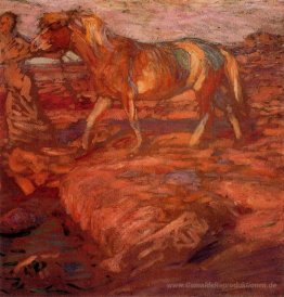 Frau und Pferd