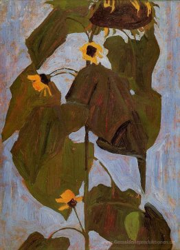 Sonnenblume