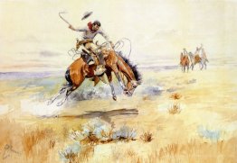 Der Bronco Buster