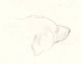 Kopf eines Hundes