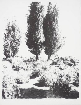 Jerusalem Zypressen und Lavendel