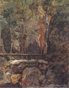 Rettenbach Wildnis in der Nähe Ischl (Die Hohenzollern Wasserfal