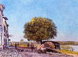 Kastanienbaum in Saint Mammes