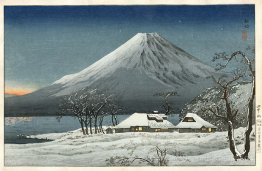 Fuji Lake Yamanaka