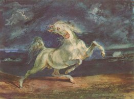 Pferd von einem Sturm Erschrocken