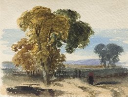 Moorlandschaft (Baumstudie)