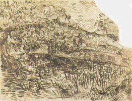 Olivenbäume in einer Gebirgslandschaft