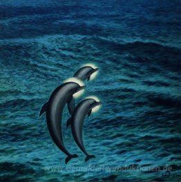 St. Dolphins