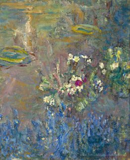 Wasserlilien