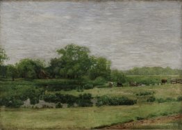 The Meadows, Gloucester, New Jersey