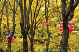 Ein kleiner Vogel sagte mir in Everyday Eden (Installationsansic