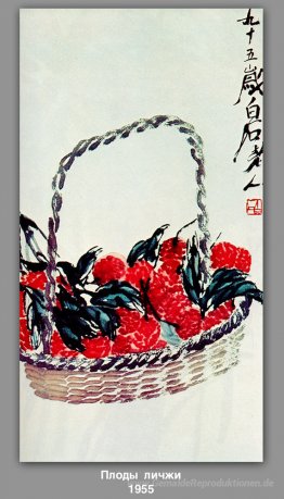 Lychee Obst