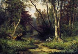 Waldlandschaft mit Herons