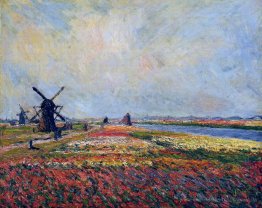 Blumenfelder und Windmühlen in der Nähe von Leiden