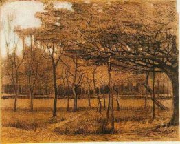 Landschaft mit Bäumen