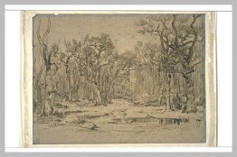 Der Wald im Winter