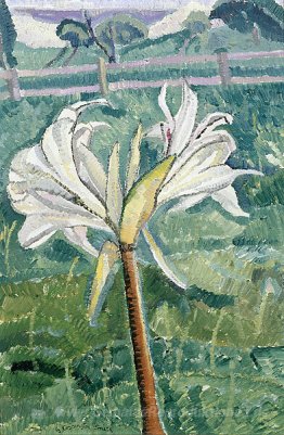 Lily wächst in einem Feld am Meer