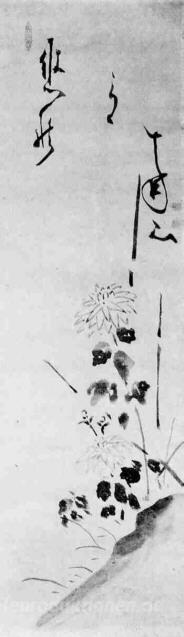 Chrysanthemen