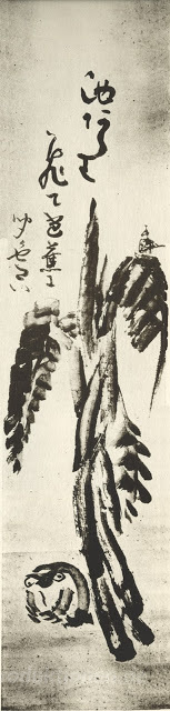 Banana Plant & Frog & Haiku