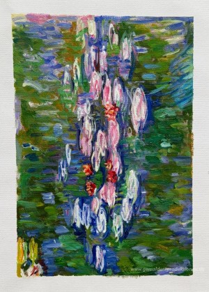 Wasserlilien