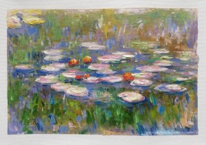 Wasserlilien