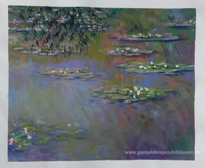 Wasserlilien