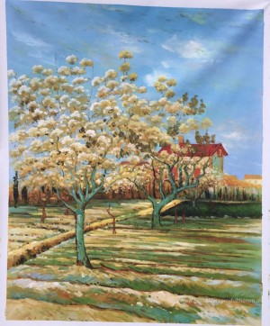 Blühender Obstgarten