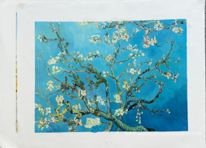 Niederlassungen mit Mandel-Blüte
