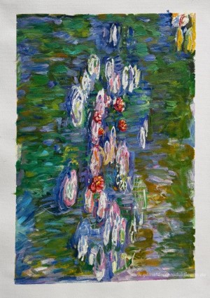 Wasserlilien
